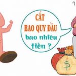 Chi phí cắt hẹp bao quy đầu giá bao nhiêu tiền tại Hà Nội?